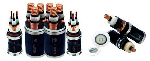 1547185926623917.jpg 1.jpg