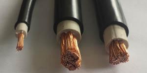 1547189618554120.jpg 1.jpg